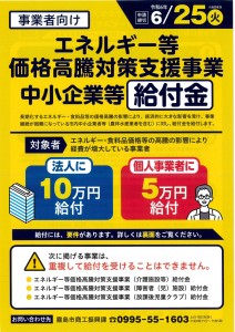 エネルギー等価格高騰給付金（チラシ）